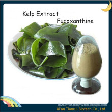 Kelp Extract P. E. Fucoxanthine